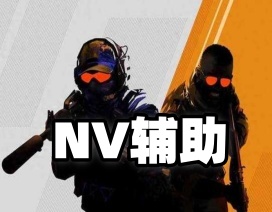 CS2【NV】辅助（内部科技）